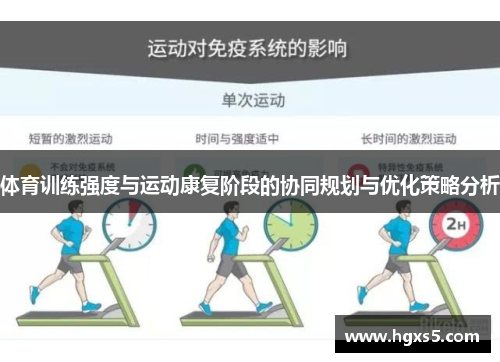体育训练强度与运动康复阶段的协同规划与优化策略分析