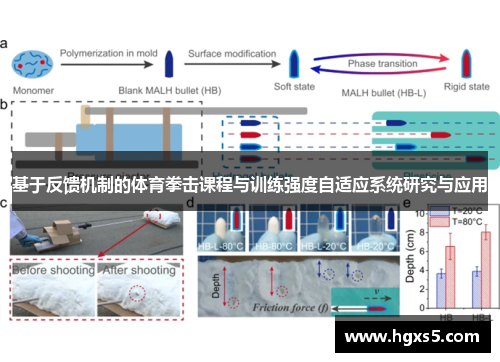 基于反馈机制的体育拳击课程与训练强度自适应系统研究与应用